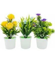 زرعه صناعى نور الصباح ص