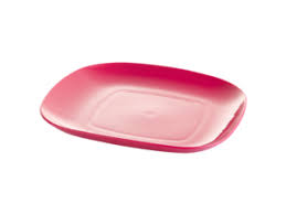 طبق تسالى سرفيس ص